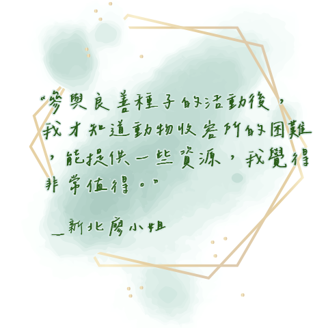 新北廖