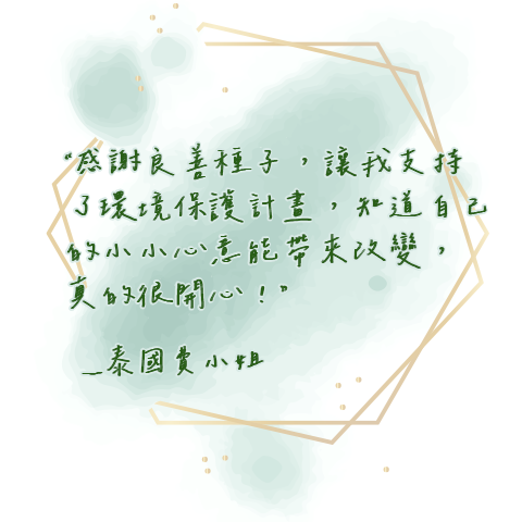 泰國費